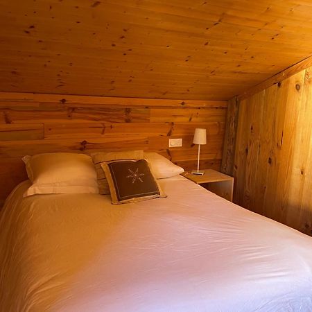 Chalet Familial - Pyrenees, Au Coeur Des 3 Stations La Cabanasse エクステリア 写真