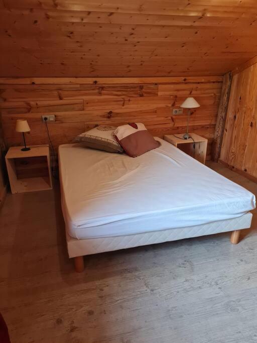 Chalet Familial - Pyrenees, Au Coeur Des 3 Stations La Cabanasse エクステリア 写真