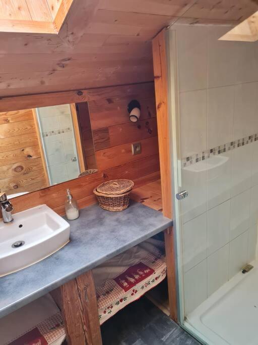Chalet Familial - Pyrenees, Au Coeur Des 3 Stations La Cabanasse エクステリア 写真